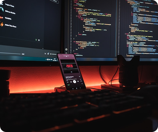 Developer Coding